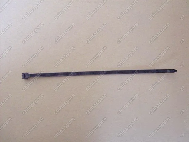 3550151K18 Plastic band Great Wall Cowry
