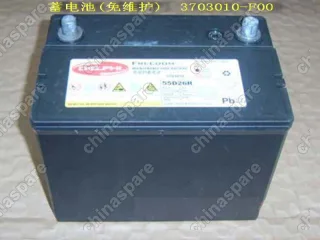3703010F00 Batt assy(maintenance-free) Great Wall Deer