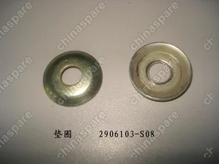 2906103S08 Washer Great Wall Florid