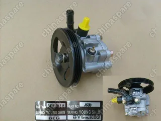 3407110S16 P/s pump assy Great Wall Florid