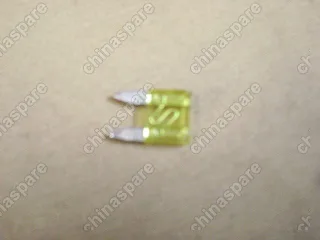 F20A Fuse f1-20a Great Wall Florid