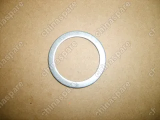 1900053002 Washer(fr flange plate) Great Wall Hover H5