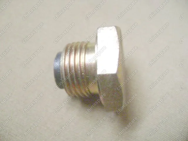 5RYA1701070 Hex bolt plug magnetic Great Wall Hover H5