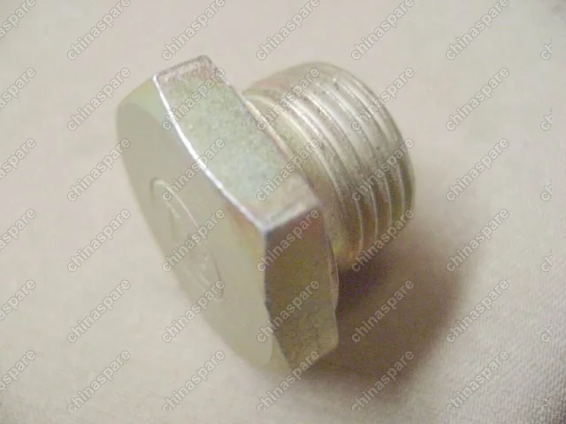 5RYA1701071 Hex plug Great Wall Hover H5
