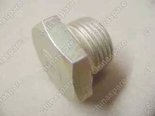 5RYA1701071 Hex plug Great Wall Hover H5