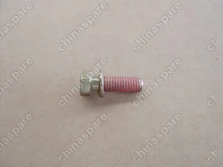 ZMQ150B0825 Hex bolt w/washer Great Wall Hover H5