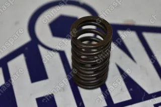 Пружина клапана (дизель) Great Wall Hover H5