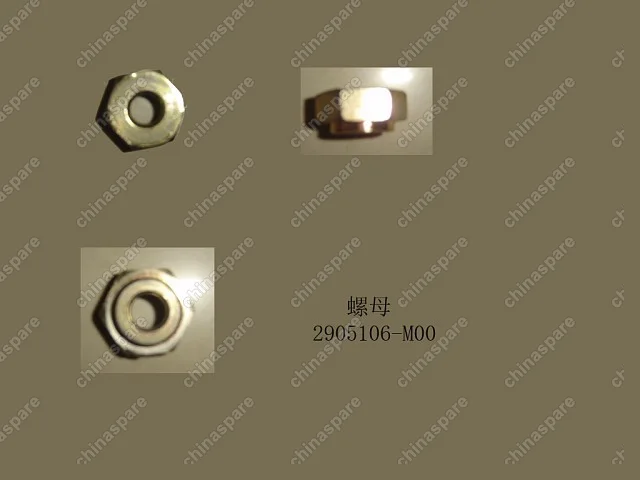 2905106M00 Nut(fr shock absorber) Great Wall Peri
