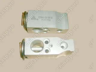 8106000P00 Expansion valve subassy Great Wall Peri