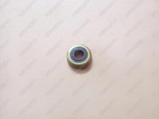 1003302E10A1 Nut washer-cylinder head cap Great Wall Peri