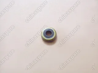 1003302E10A1 Nut washer-cylinder head cap Great Wall Peri