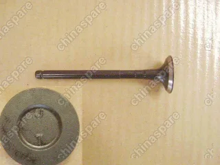 Клапан выпускной Great Wall Peri