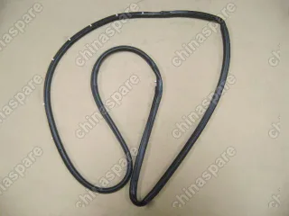 6107201F00 Front door sealing strips lh Great Wall Safe