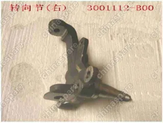 3001112B00 Strg knuckle rh Great Wall Sing