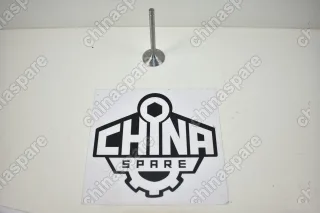 Клапан впускной 491 для двигателей (Бензин) Great Wall Deer, Safe 11H-1007