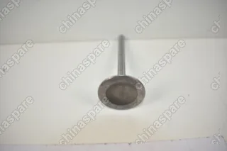 Клапан впускной 491 для двигателей (Бензин) Great Wall Deer, Safe 11H-1007