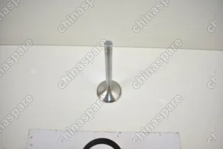 Клапан выпускной 491 Great Wall Deer, Pegasus, Safe, Sailor, Sing, Wingle Бензин 11H-100