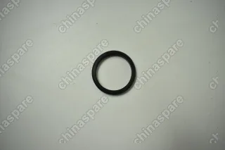 Уплотнитель свечного колодца (491QE) Great Wall Deer, Pegasus, Safe, Sailor, Sing, Wingle