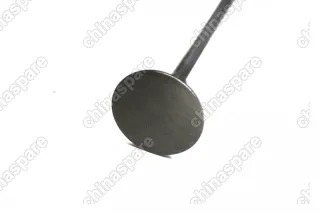 Клапан выпускной Haima 3