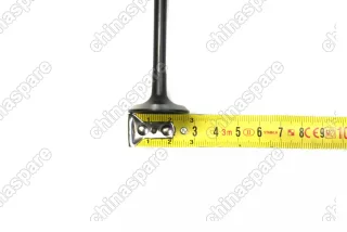 Клапан выпускной Haima 3