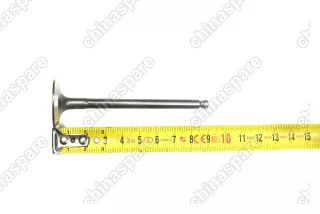 Клапан выпускной Haima 3