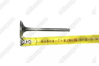 Клапан впускной Haima 3