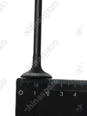 Клапан Выпускной BYD F-3 (473QE)