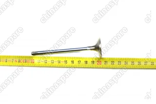 Клапан впускной Haval H9, H6 Coupe, F7 2,0 4C20