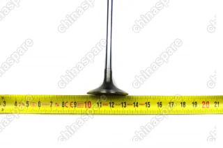 Клапан впускной Haval H9, H6 Coupe, F7 2,0 4C20