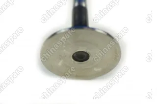 Клапан выпускной H9 / H6 Coupe / F7 2.0 4C20