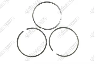 Поршневая группа (поршень, палец, кольца, гильзы) Great Wall Hover H5 4D20 2,0 (дизель)