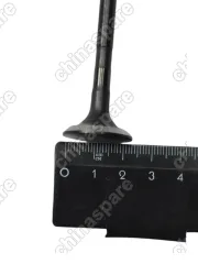 Клапан Выпускной Zotye T600 1,5T