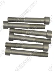 Хаб автоматический ZX Landmark, Grand Tiger