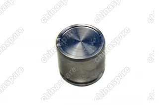 Поршень Переднего Суппорта Chery Tiggo, Fora / Omoda C5 / Lifan X60