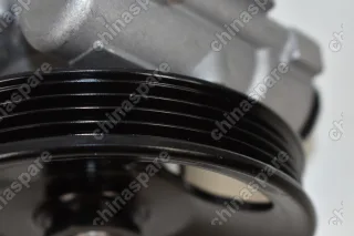 Насос ГУР ZX Landmark, Grand Tiger