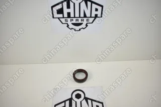 Сальник привода правый Zotye T600