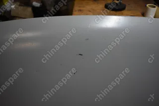 Капот ZX Landmark (Уценка)