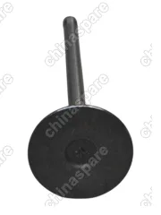 Клапан ГБЦ 473 Впускной Chery Kimo, QQ6 1,3