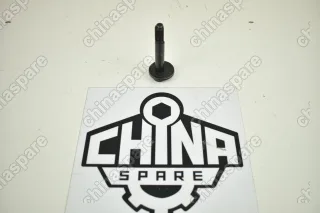 Болт сход-развала заднего рычага Hyundai Sonata IV