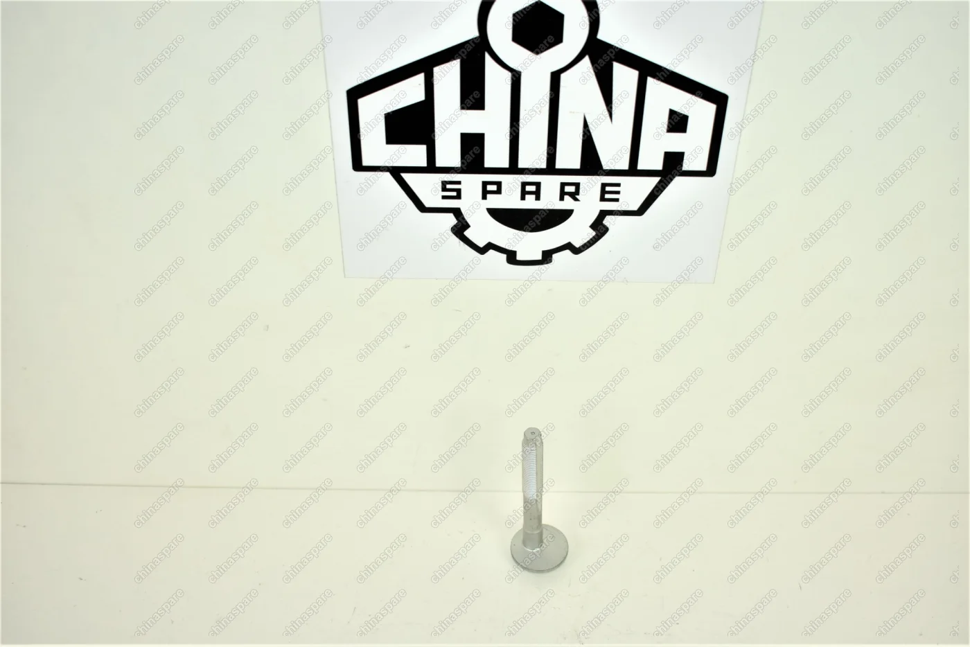 Болт-эксцентрик нижнего поперечного рычага задней подвески Volkswagen Passat 2008