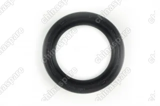 Сальник распредвала передний Payen KIA Sportage