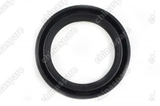 Сальник распредвала передний Payen KIA Sportage