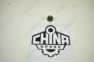 Регулятор давления топлива Chery Tiggo