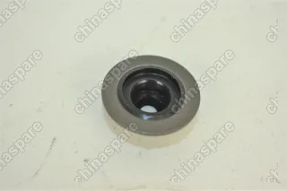 Колпачок маслосъемный Zotye T600 1.5T