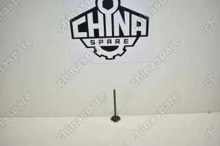 Клапан Впускной TNN4G15T Zotye T600 1.5