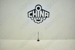 Клапан Выпускной TNN4G15T Zotye T600 1.5