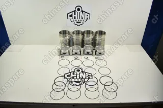 Поршневая группа (Поршни, пальцы, кольца, гильзы) Chery Fora, Tiggo 481