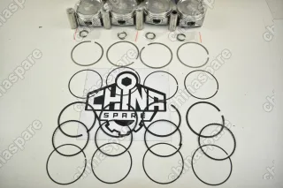 Поршневая группа (Поршни, пальцы, кольца, гильзы) Chery Fora, Tiggo 481