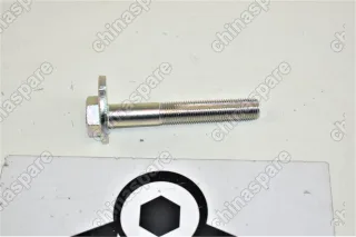 Болт рычага заднего продольного Nissan Qashqai 2010- / X-Trail 2010-