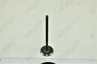 Клапан выпускной Haima 7